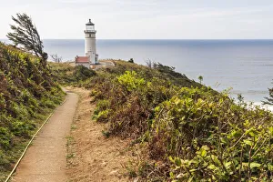 Pathway Prints: USA, Washington State, Ilwaco, Cape Disappointment State Park