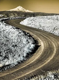 USA, Washington State. Infrared capture of road running though wildflowers with Mount Hood in background