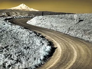 USA, Washington State. Infrared capture of road running though wildflowers with Mount Hood in background