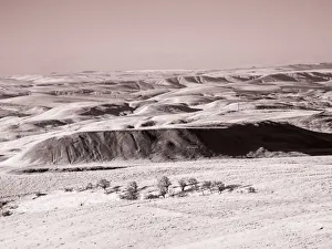 Infrared Prints: USA, Washington State. Infrared capture wildflowers covering the hills along the Columbia River