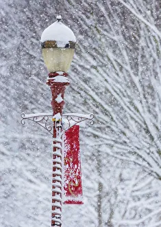 Images Dated 18th November 2022: USA, Washington State, Issaquah with fresh fallen snow and red lamppost with Christmas decorations