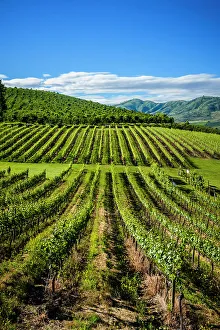 Lake Chelan Prints: USA, Washington State, Lake Chelan