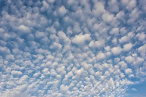 USA, Washington State. Mackerel sky makes compelling patterns in bright blue sky