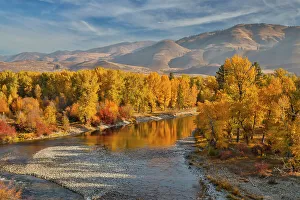 Images Dated 19th October 2021: USA, Washington State, Methow Valley and river edged in Fall colored trees