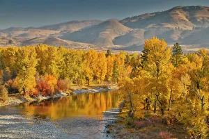 Images Dated 19th October 2021: USA, Washington State, Methow Valley and river edged in Fall colored trees