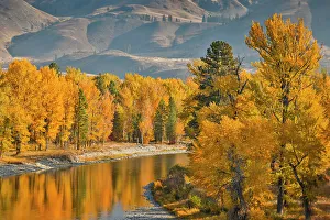 Images Dated 13th June 2022: USA, Washington State, Methow Valley and river edged in Fall colored trees
