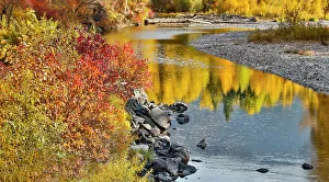 Images Dated 19th October 2021: USA, Washington State, Methow Valley and river edged in Fall colored trees