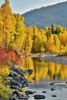 Images Dated 19th October 2021: USA, Washington State, Methow Valley and river edged in Fall colored trees