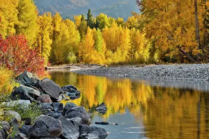Images Dated 19th October 2021: USA, Washington State, Methow Valley and river edged in Fall colored trees