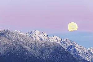 USA, Washington State. Moon setting over the Olympic Mountains at sunrise
