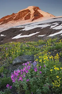 Images Dated 7th November 2019: USA, Washington State. Mount Baker (elevation 10, 778 feet, 3
