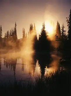 Images Dated 21st February 2013: USA, Washington State, Mount Rainier National Park, View of reflection lake covered