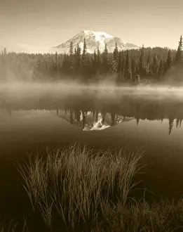 USA, Washington State, Mount Rainier National Park, Mt. Rainier and grass along shore