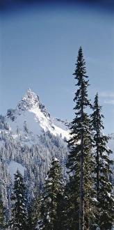 Images Dated 13th February 2013: USA, Washington State, Mount Rainier National Park, Cascade Range, Snow covered mountain