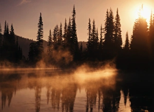 Images Dated 21st February 2013: USA, Washington State, Mount Rainier National Park, View of reflection lake covered