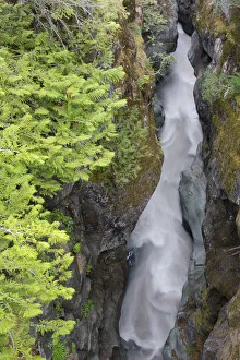 Images Dated 13th November 2018: USA, Washington State. Mount Rainier National Park, Cowlitz River in Box Canyon