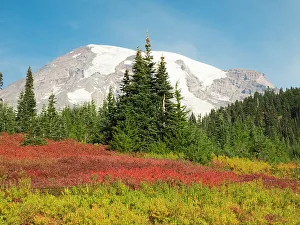 Snow Capped Prints: USA, Washington State, Mount Rainier National Park