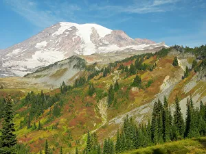 Snow Capped Prints: USA, Washington State, Mount Rainier National Park