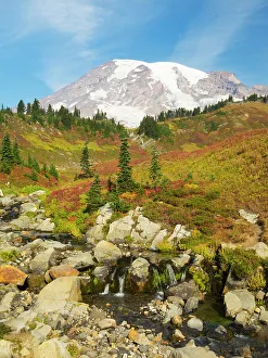 Snow Capped Prints: USA, Washington State, Mount Rainier National Park