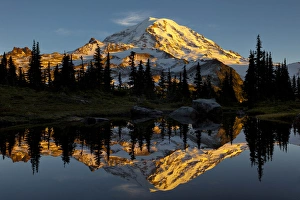 Images Dated 17th October 2011: USA, Washington State, Mt. Rainier National Park