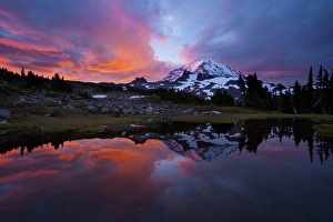 Images Dated 21st September 2011: USA, Washington State, Mt. Rainier National Park
