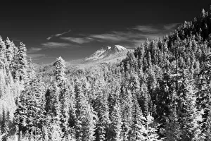 Images Dated 2021 July: USA, Washington State, Mt. Rainier viewed from the South