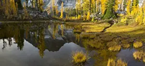 Subalpine Prints: USA, Washington State. Mt. Stuart reflects in a tarn near Horseshoe Lake