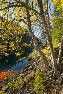 Images Dated 17th October 2010: USA, Washington State, North Cascades National Park