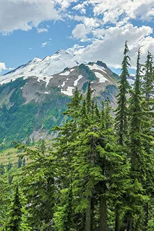 Baker Prints: USA, Washington State, North Cascades National Park