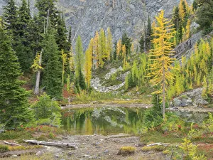 Images Dated 26th July 2019: USA, Washington State. Okanogan-Wenatchee National Forest, Alpine pond