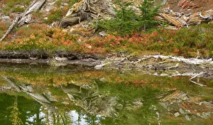 Images Dated 27th July 2019: USA, Washington State. Okanogan-Wenatchee National Forest, Alpine pond