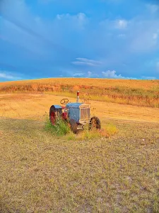 Danita Delimont New Images May 2025 Prints: USA, Washington State. Old tractor in field of harvested wheat. (Editorial Use Only)
