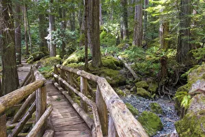 Images Dated 31st May 2019: USA, Washington State, Olympic Mountains. Bridge over Lena Creek