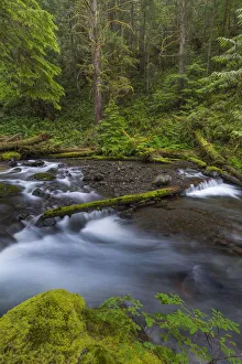 USA, Washington State, Olympic National Forest. Big Quilcene River rapids. Credit as