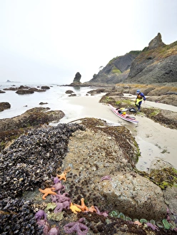 Images Dated 4th August 2011: USA, Washington state, Olympic National Park