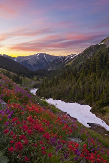 Images Dated 18th August 2011: USA. Washington state, Olympic National Park