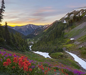Images Dated 18th August 2011: USA. Washington state, Olympic National Park