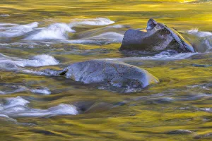 Images Dated 4th October 2017: USA, Washington State, Olympic National Park