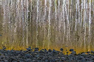 Images Dated 5th October 2017: USA, Washington State, Olympic National Park