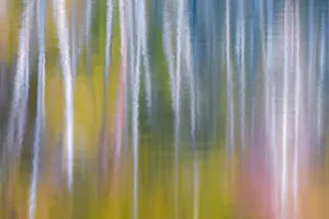 Images Dated 5th October 2017: USA, Washington State, Olympic National Park