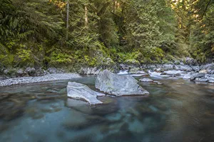 Landscape Prints: USA, Washington State, Olympic National Park. Quinault River landscape. Credit as