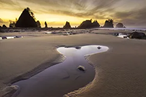 Images Dated 20th November 2018: USA, Washington State, Olympic National Park. Sunrise on coast beach and rocks. Credit as