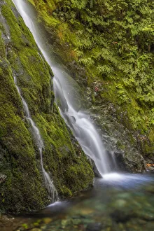 USA, Washington State, Olympic National Park