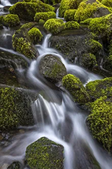 Landscape-Scenic Prints: USA, Washington State, Olympic National Park. Cedar Creek scenic