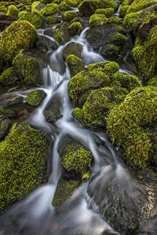Images Dated 19th September 2019: USA, Washington State, Olympic National Park. Cedar Creek scenic