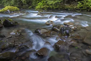 Images Dated 2nd June 2020: USA, Washington State, Olympic National Park. Dungeness River rapids