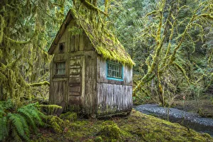 USA, Washington State, Olympic National Park. Tolkien-like abandoned cabin