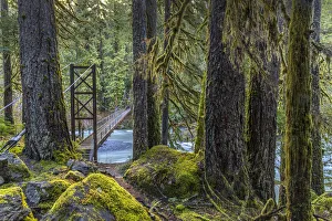 Images Dated 4th October 2021: USA, Washington State, Olympic National Park. Bridge across North Fork Skokomish River