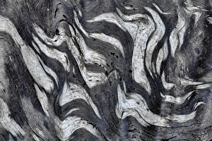 Stripe Prints: USA, Washington State, Olympic National Park