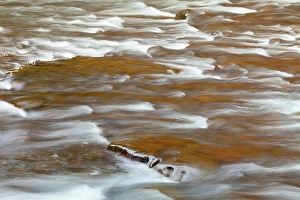 Rapid Prints: USA, Washington State, Olympic National Park